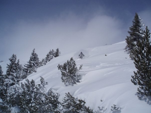 Foto: Andreas Isaksson. Åkare: Mikael Hjorth.