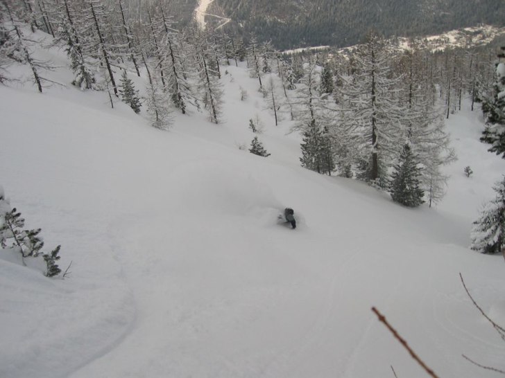 Mera skog.. Foto: Johan Jonsson. Åkare: Magnus Nyström.