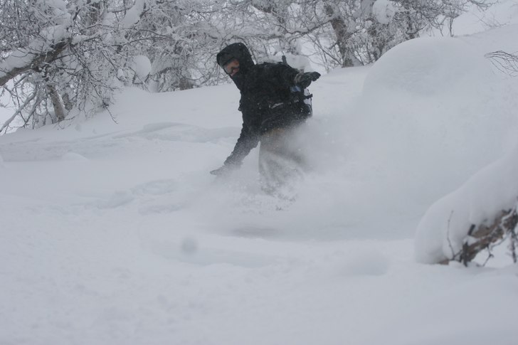 Foto: Tobias Kajbring. Åkare: Felix Jaktlund.