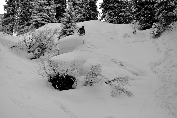 Foto: Axel Wall. Åkare: Gustav Fält.