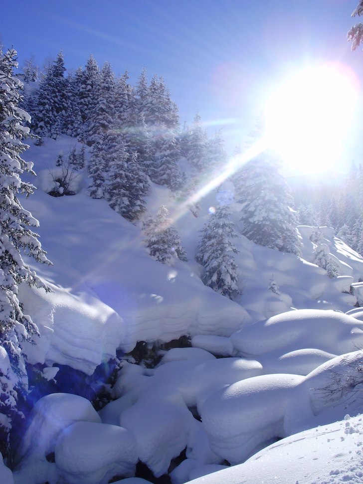 Vi kom lite fel i skogaran på riverside men fick . Foto: elin anander.