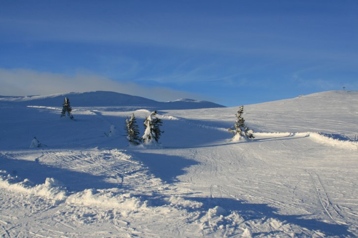 Ingen knuff och trängsel. Foto: Jag.