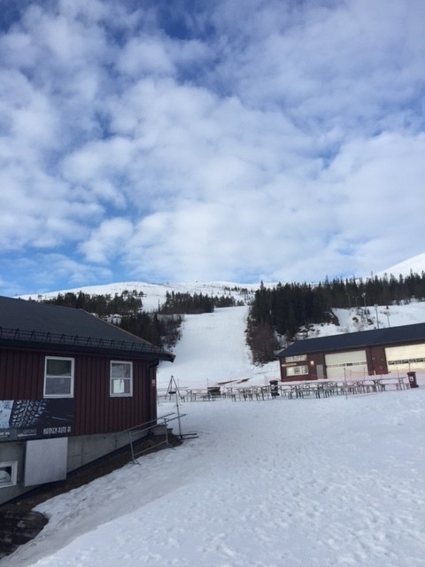 Ser meget bra ut
Noen kuldegrader i natt, og da er.