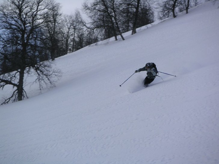 Foto: Kai Kallio. Åkare: Johan Uveborn.