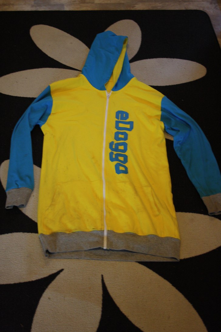 eDoggo the orbit 90. Foto: Isak Forsberg.