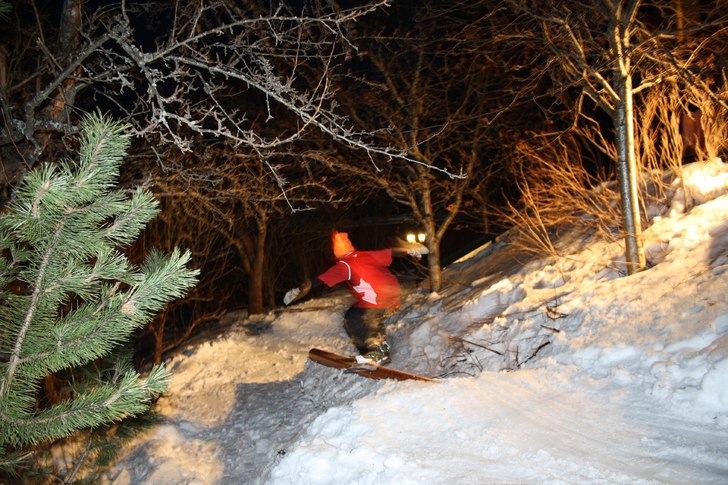 knäppte lite kort i trädgårn . Foto: Axel sjölund. Åkare: Albin eklund.