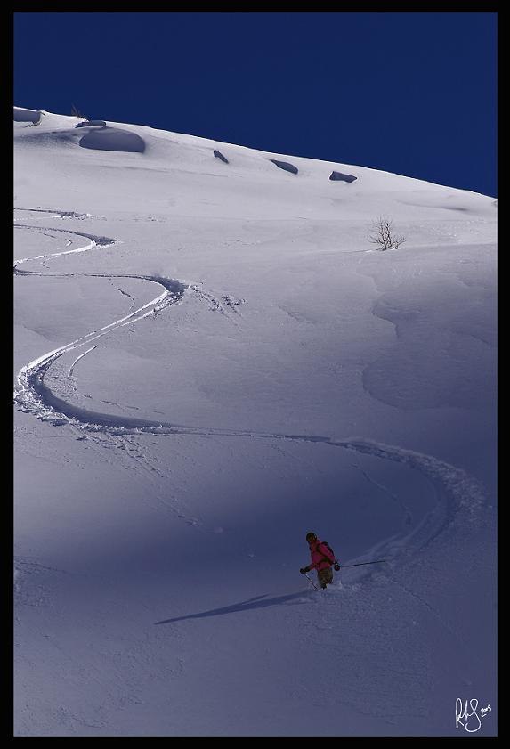 Foto: Rob Hamilton-Smith. Åkare: Kajsa Wallin.