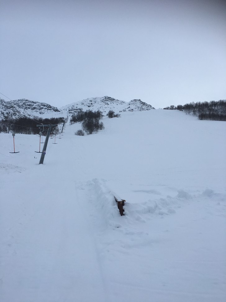 Torsdag 2/3
Flotte forhold bakken. Det har kommet .