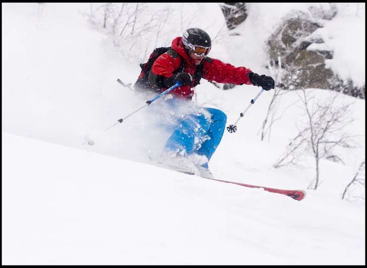lite skog. Foto: Tobias Kajbring. Åkare: Mikael Kajbring.