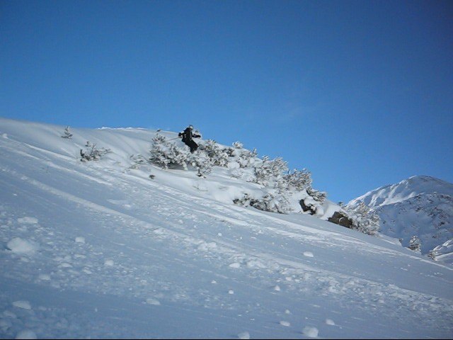Foto: Tua Tegern. Åkare: Emil Saghamre.