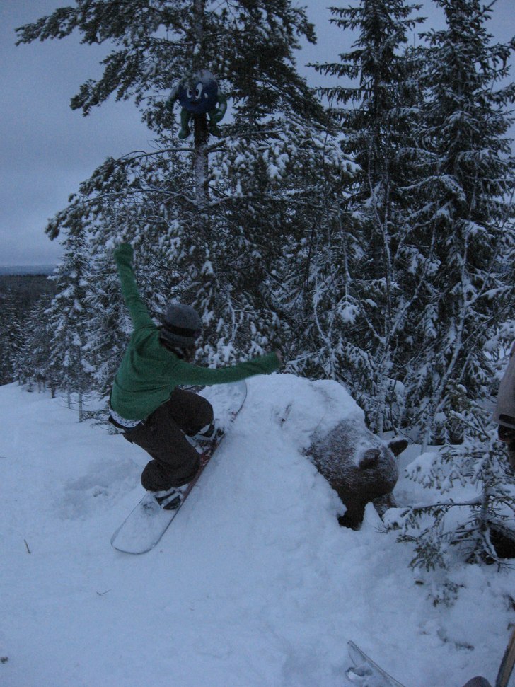 björnen ska bli brädad. Foto: Hilla Aspman. Åkare: Kattis Persson.