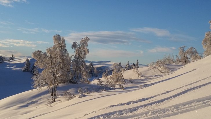 Vinter
Sol ,  -6 , 2 dager gammel snø.


.