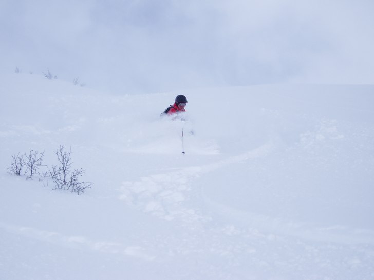 Foto: Erik Berglund. Åkare: Gustaf Persson.