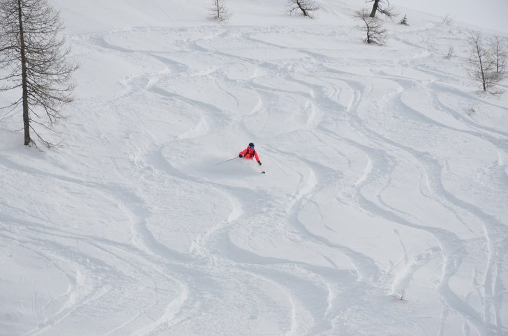 Foto: Mats Vestn. Åkare: Felicia Vestin.