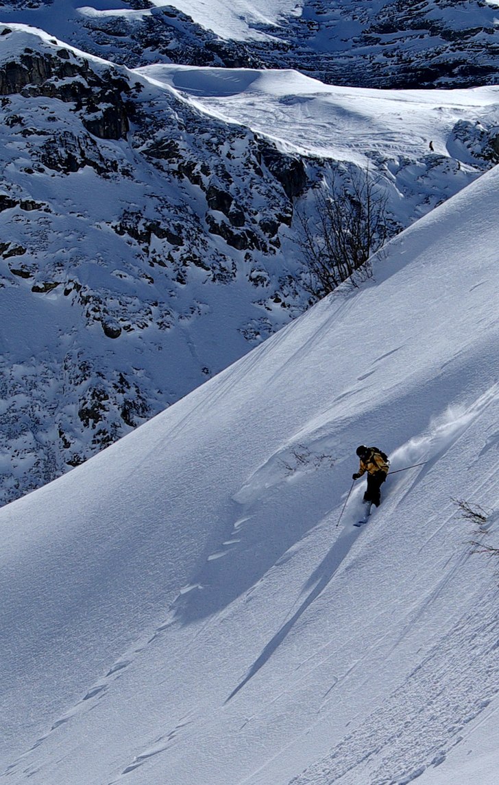 Foto: Helena Kyle. Åkare: Sara Torvestig.