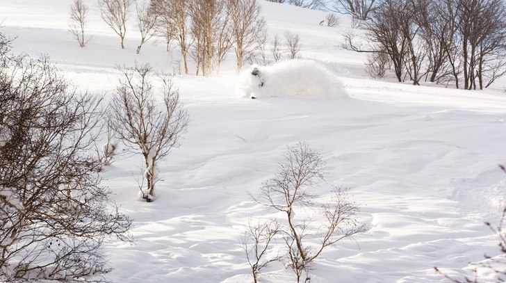Foto: Max Larsson. Åkare: Robin Sandberg.