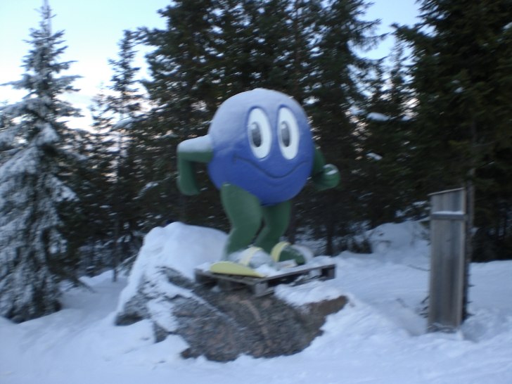 Foto: Hampus Johansson.