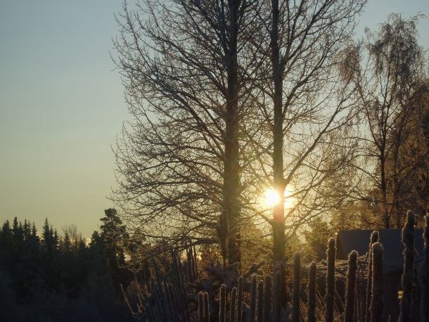 hade med kameran på promenaden, och så gick de s. Foto: andrea lundqvist.
