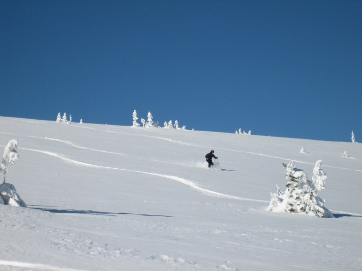 Nä. Foto: Tobbe Ryd. Åkare: Johan Carlsson.