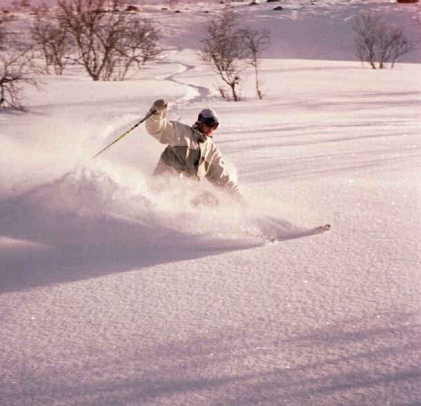 en fin dag i björnrike.... Foto: Bengt Luthman. Åkare: Björn Ångman.