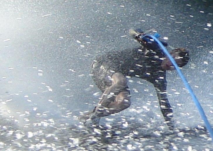 slide. Foto: Jonatan Linsmeier. Åkare: Gustaf Nordenhed.