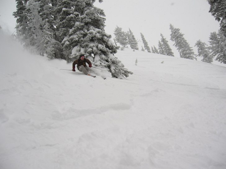 Foto: Johan tapani. Åkare: Martin Kobb.