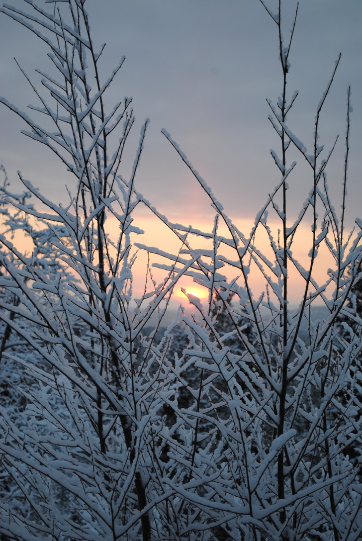 Foto: Linn Östlund.