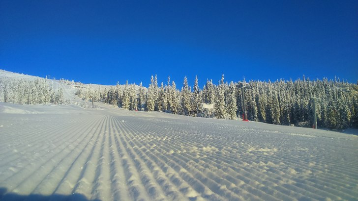 Strålende vintersol 
Velkommen til nok en fantast.