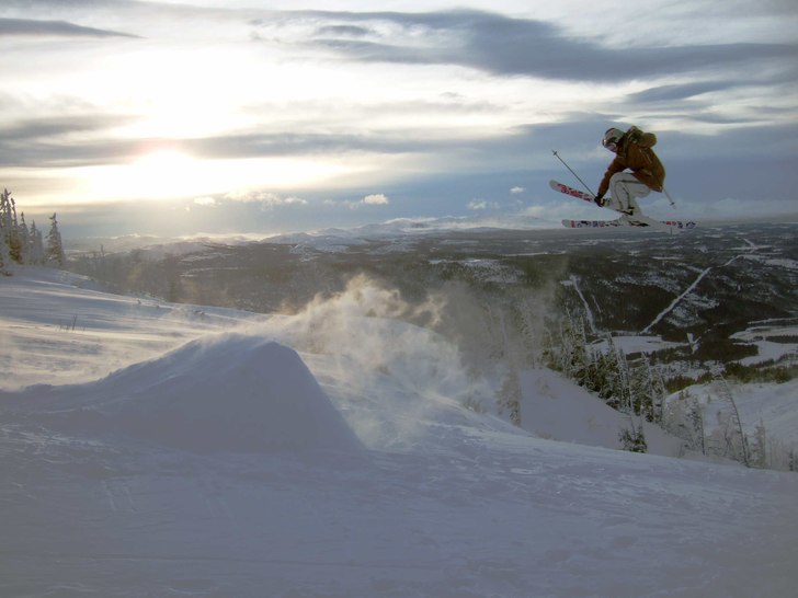 puss påre. Foto: lee myhr. Åkare: moi.