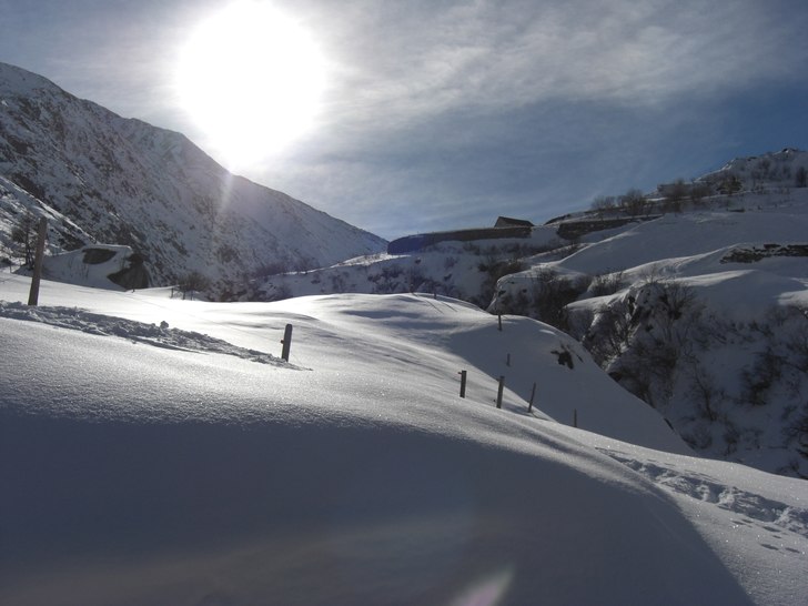 Foto: Micke Grönlund.