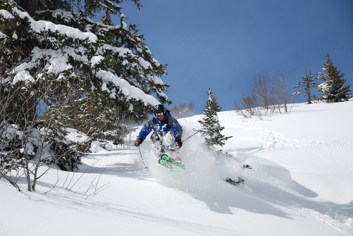 Foto: Tobias Andersson. Åkare: Björn Gannsjö.