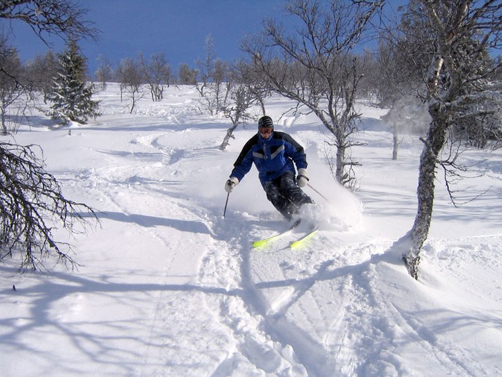 Härlig åkning i "Snåret".. Foto: Daniel Rapp. Åkare: Per Magnusson.
