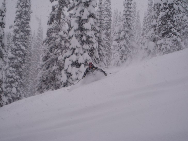 Foto: Stina Stenquist. Åkare: Ulf Nordstrand.