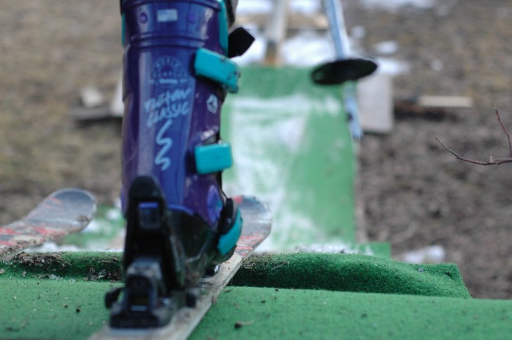 oink. Foto: ct axelsson. Åkare: ALLEa.