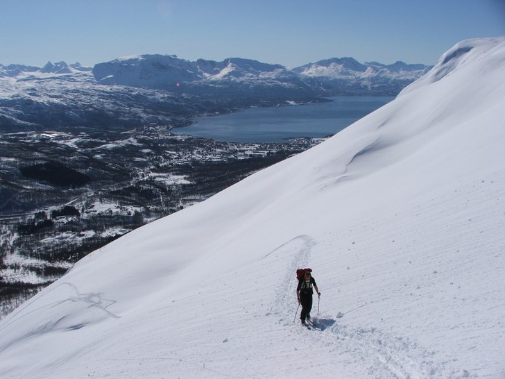 Så vackert! 

Det låg 2-3 dm kallsnö över he. Foto: Mårten Lundin.