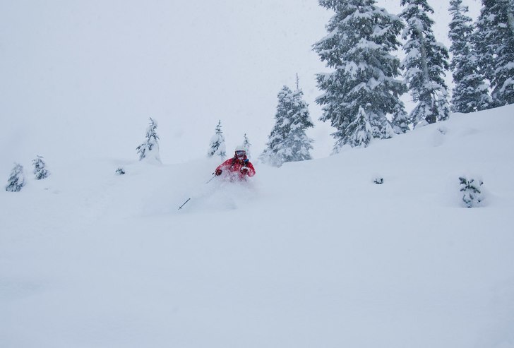 Foto: Andreas Sjöberg. Åkare: Mattias Fredler.