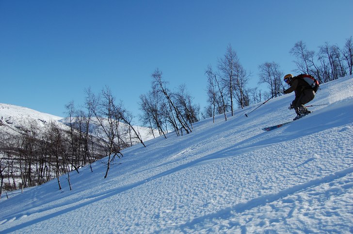Lite slaskig skogsåkning efter en fantastiskt fin. Foto: Malin Albing. Åkare: Daniel Albing.
