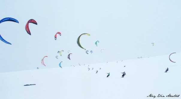 Norwegian Championship in snowkiting 2009. The pee. Foto: May Elin Aarstad. Åkare: Randoms.