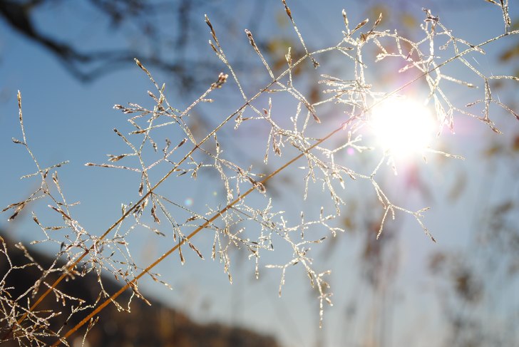 Foto: Linn Östlund.