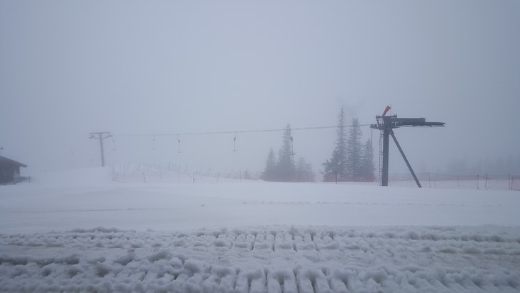 Grått, men ikke trist ;-)
Litt grått idag, men g.