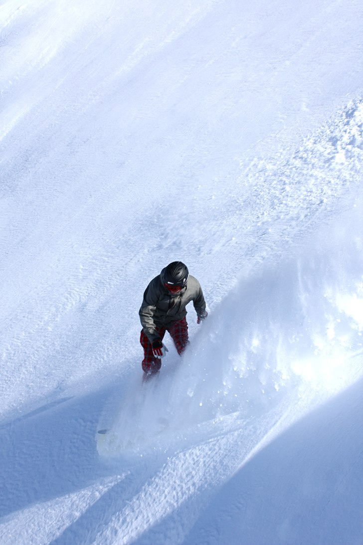 Foto: Petter Berggrund. Åkare: Kalle.