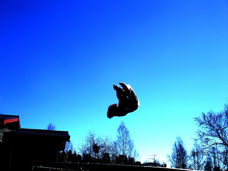 Foto: Carl Fernlöf. Åkare: Dennis Olofsson.