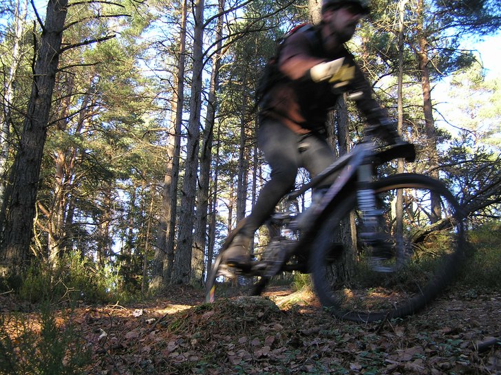 Skogstur på Vättlefjällsleden med Ball MTB.. Foto: Johan Olofsson.