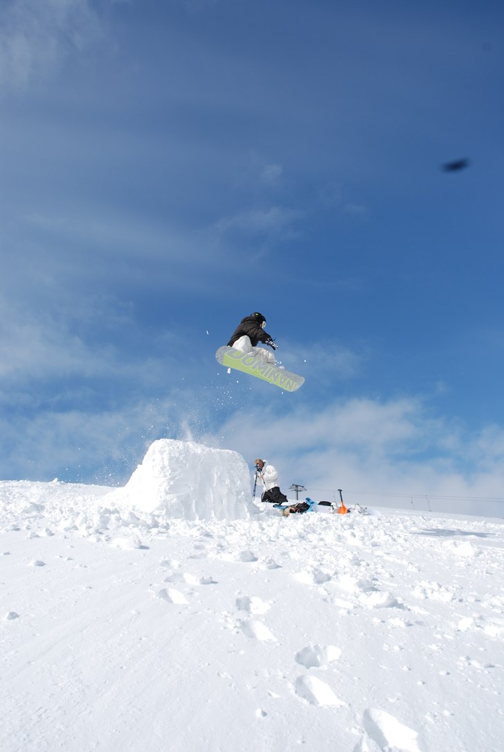 Bara Charlie. Foto: Carl Meuller. Åkare: Charles Elfving.