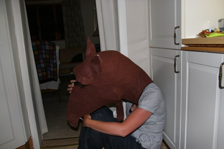 Foto: Karin. Åkare: Ångesthästen.