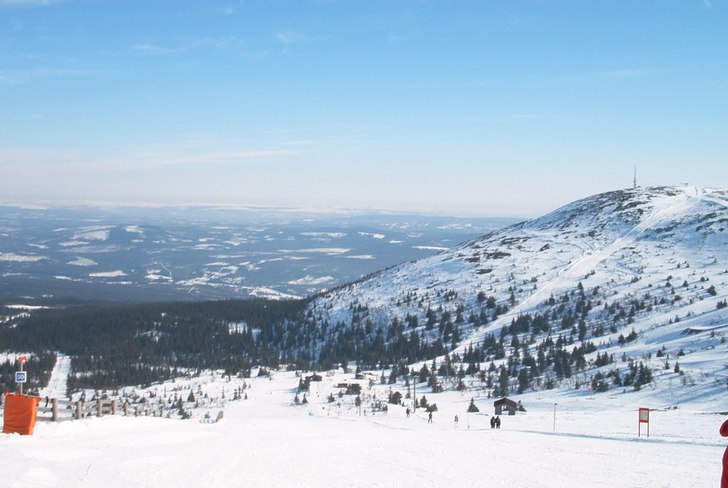 Foto: Niklas Ericsson.