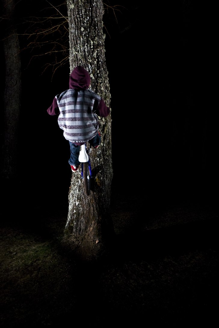 Liten tree ride :). Foto: Magnus Karlsson. Åkare: Emil Jonsson.