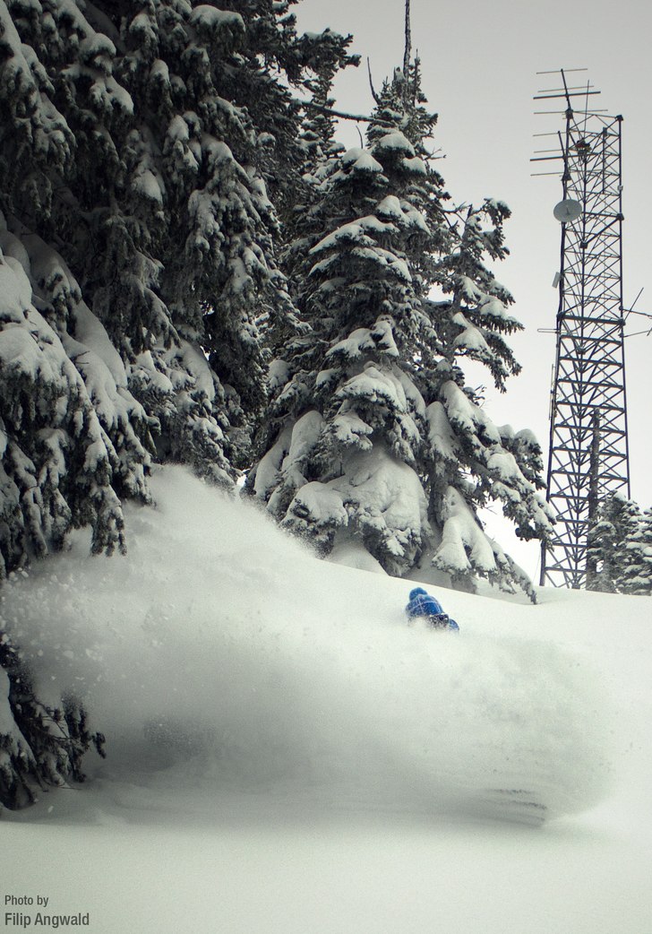 Foto: Filip Angwald. Åkare: Måns J Olsson.