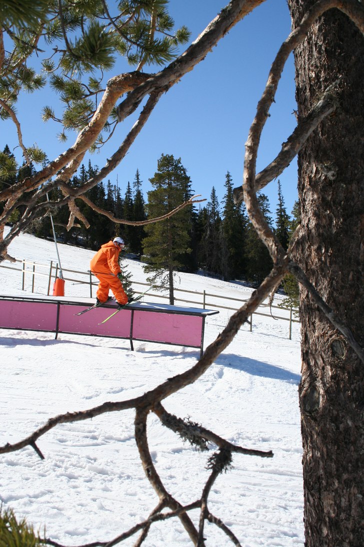 Foto: Jesper Tengvall. Åkare: Oskar Brandberg.
