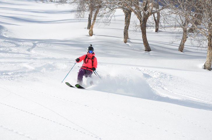 en timmes gång, klart värt. Indien gulmarg kashm. Foto: Mats Westin. Åkare: Felicia Vestin.